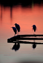 uÂȖ閾v@ǍL