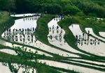 特選5　青木秀茂.jpg